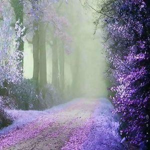 Meet your Posher, Andi